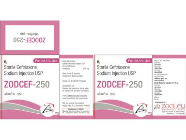 Zodcef -250 - Zodley Pharmaceuticals Pvt. Ltd.
