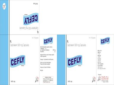 Cefly-500 - Zodley Pharmaceuticals Pvt. Ltd.