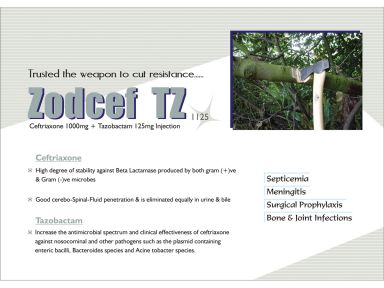 Zodcef- TZ 1125 - (Zodley Pharmaceuticals Pvt. Ltd.)