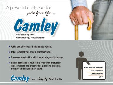Camley (DT) - Zodley Pharmaceuticals Pvt. Ltd.