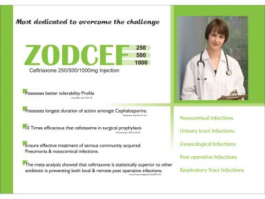 Zodcef -500 - Zodley Pharmaceuticals Pvt. Ltd.